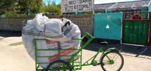 Recolha de resíduos na Escola Secundária do Estoril