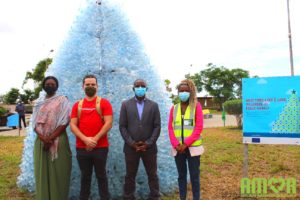 Árvore de Natal Ecológica