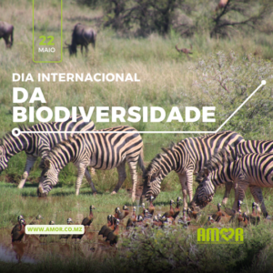 Diversidade biologica de ,ecossistemas e de genes.